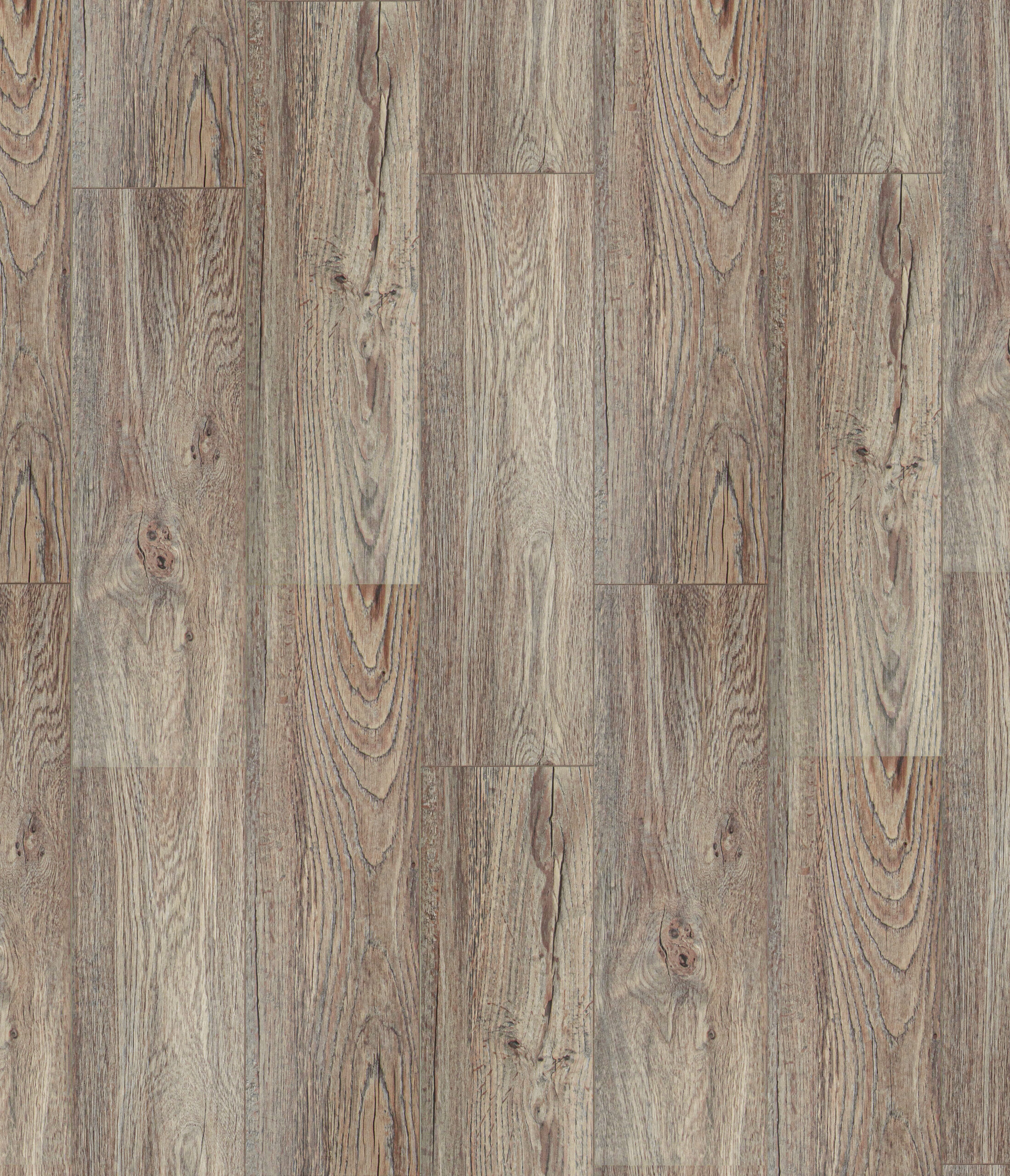 STHP06WindsorCastle1